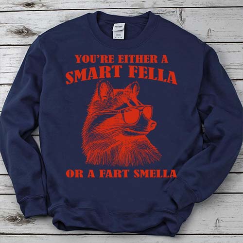 Are You A Smart Fella Or Fart Smella Retro Cartoon T Shirt, Meme T Shirt, Raccoon T Shirt LTSP