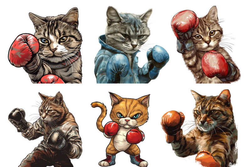 Boxing Cat Sublimation Clipart,cat clipart,cat sublimation,boxing cat,kitten,cat lover,animal,instant download,cat illustrations,digital,sub