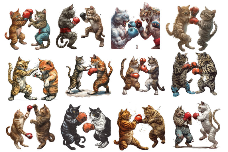 Boxing Cat Sublimation Clipart,cat Showcasing Brave Kitt faeec,Cats Clip Art, digital PNG files available for instant download