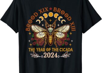 Cicada Lover Brood XIX Brood XIII Year Of The Cicada 2024 T-Shirt