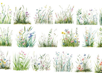 Watercolor Spring Grass with Flower
