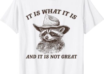 Funny Raccoon Shirt It Is What It Is And It Is Not Great T-Shirt