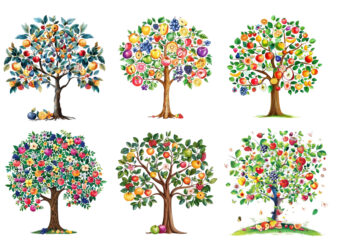 Spring tree with fruits clipart