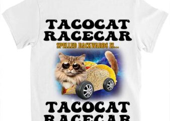 Tacocat Racecar Spelled Backwards Funny Mexican Car Taco Cat T-Shirt LTSP