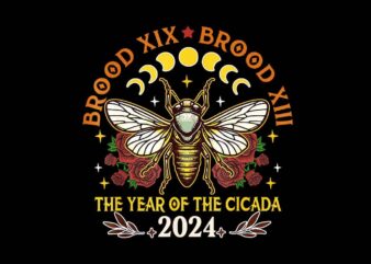 Brood XIX Brood XIII Year Of The Cicada 2024 PNG t shirt template