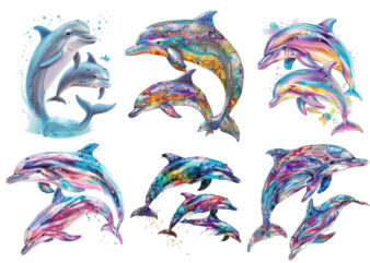 Watercolor Dolphin Clipart,Digital Illustration Dolphins,Illustration Dolphin,Dolphin Transparent,Dolphin Sublimation,Dolphin Waterslide,Bab