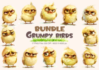 Grumpy cute birds 01. TShirt Sticker.