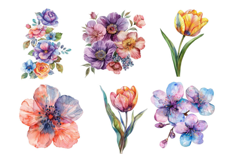 Spring Flower watercolor Clipart