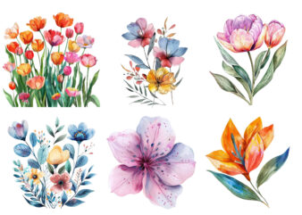 Spring Flower watercolor Clipart