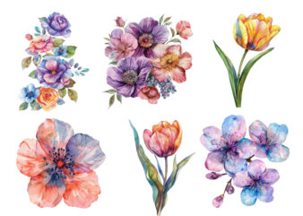 Spring Flower watercolor Clipart