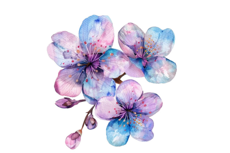 Spring Flower watercolor Clipart