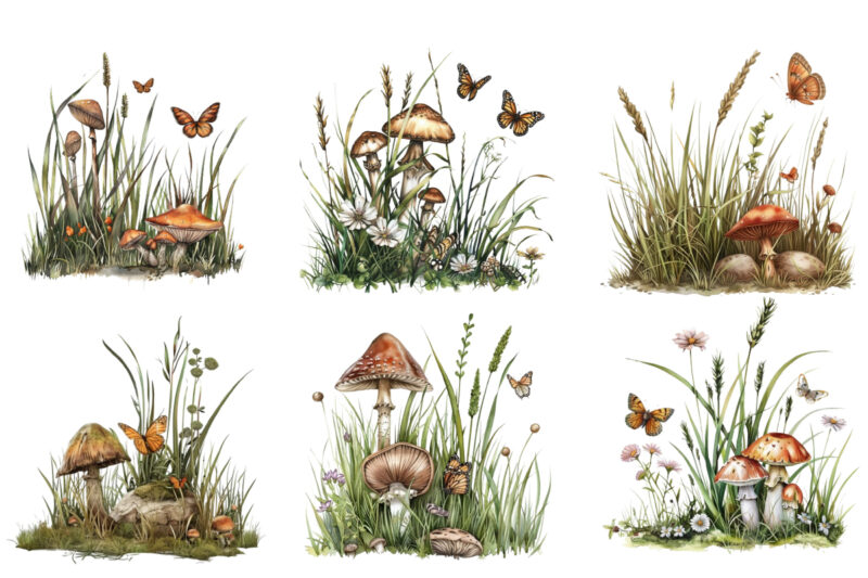 Spring Grass with mashroom and butterfly
