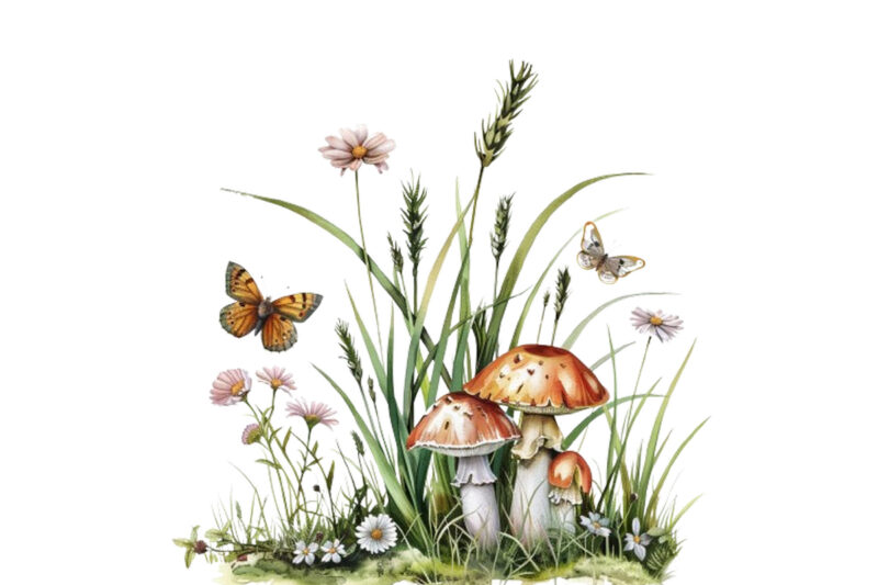 Spring Grass with mashroom and butterfly