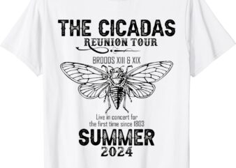 The cicadas reunion tour Broods XIII and XIX Summer 2024 T-Shirt