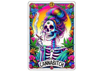 Cannabitch Tarot Card Witchy Weed Smoker Skeleton PNG