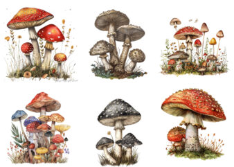 Vintage Mushroom Clipart