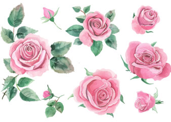 Watercolor Pink Rose Flower Bouquet