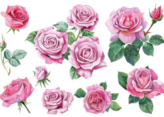 Watercolor Rose Flower