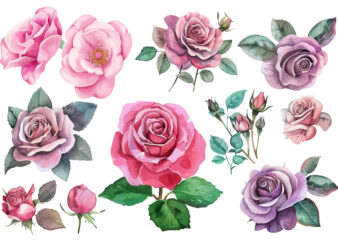 Watercolor Pink Rose Flower Bouquet