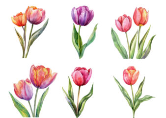 watercolor Spring Tulip clipart