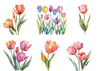watercolor Spring Tulip clipart