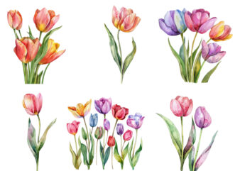 watercolor Spring Tulip clipart
