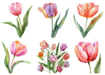 watercolor Spring Tulip clipart