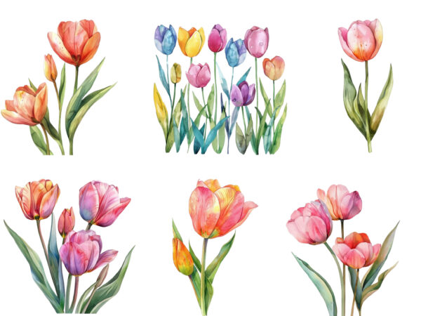 Watercolor spring tulip clipart t shirt design for sale