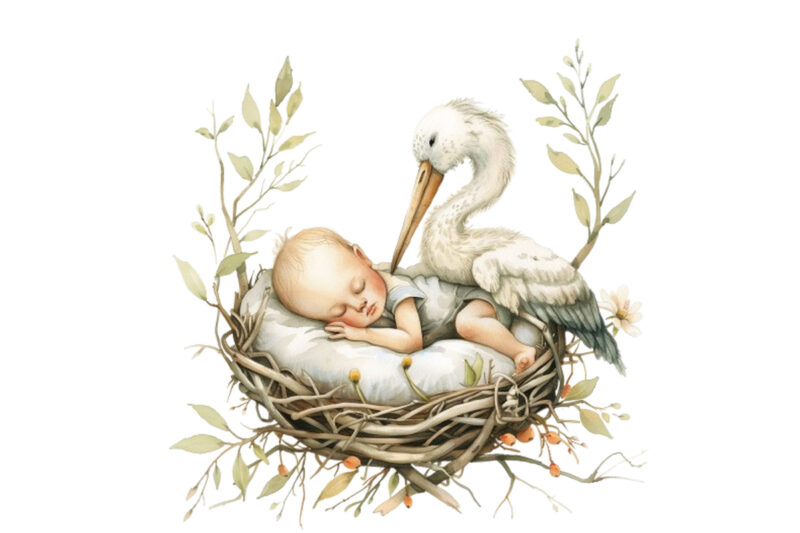 watercolor baby sleeping nest with stork
