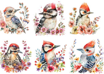 cute baby Woodpecker with flower t shirt vector file