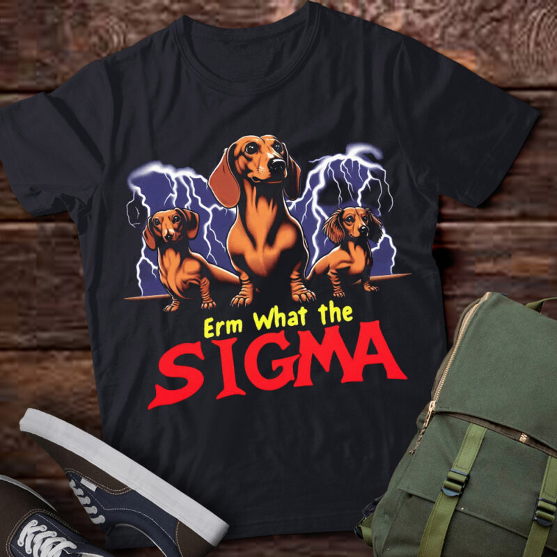 LT-P2 Funny Erm The Sigma Ironic Meme Quote Dachshunds Dog