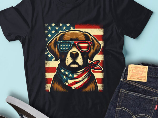 Lt146 chesapeake bay retriever dog usa flag chessie dog gift t shirt vector graphic Lt146 chesapeake bay retriever dog usa flag chessie dog gift t shirt vector graphic