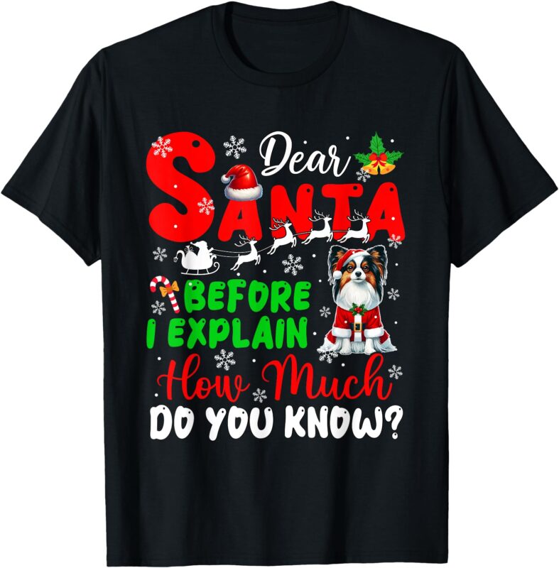 Before I Explain How Much You Know Xmas Papillon Owner Lover T-Shirt