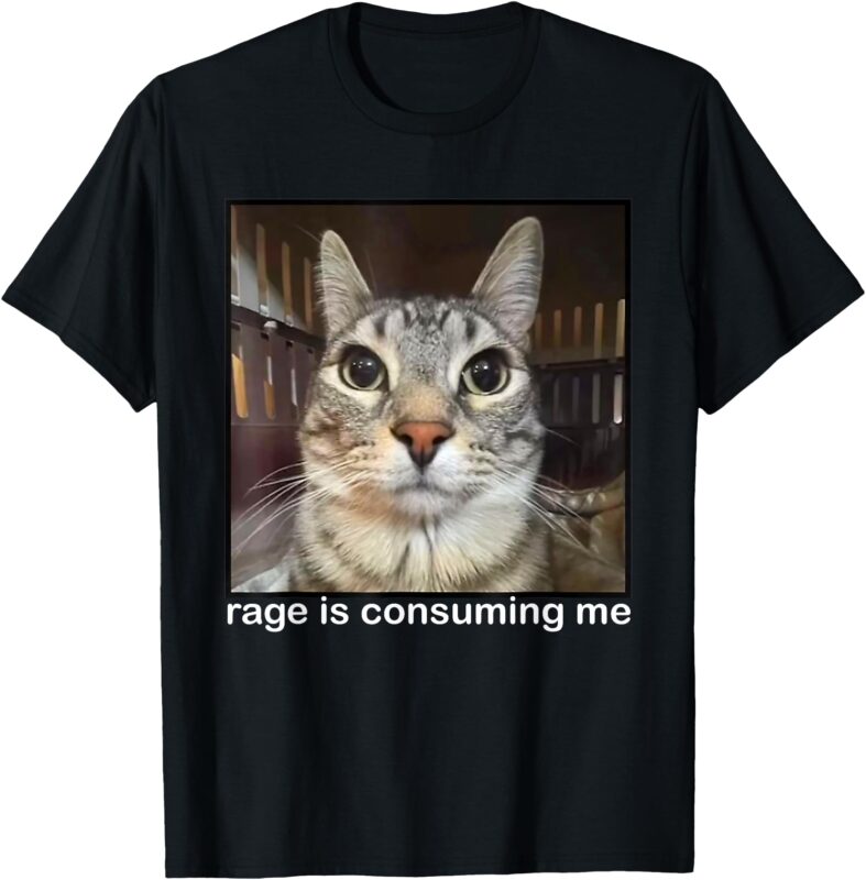 Silly Staring Cat Meme T-Shirt