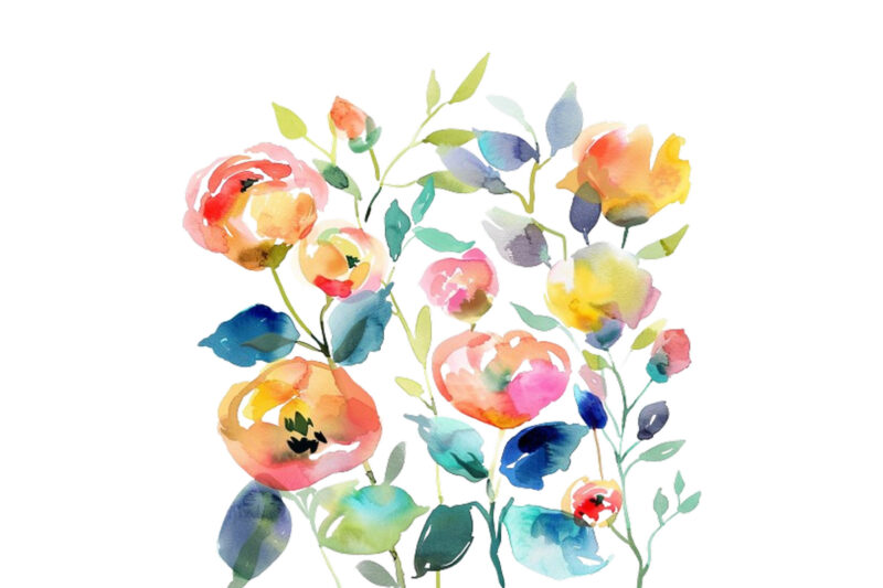 Watercolor Spring Rose Clipart