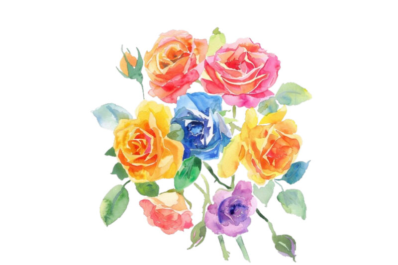 Watercolor Spring Rose Clipart