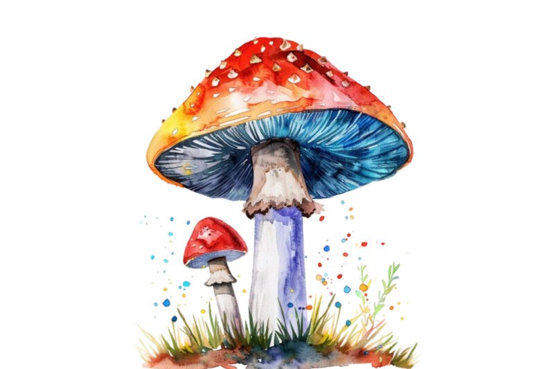 watercolor mashroom clipart