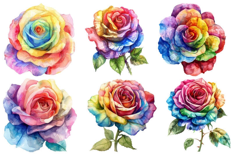 watercolor rainbow rose clipart