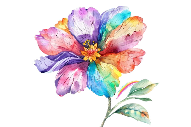 watercolor spring flower with rainbow clipart