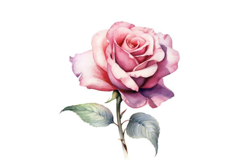 Watercolor Spring Rose Floral Circle Border with Butterfly