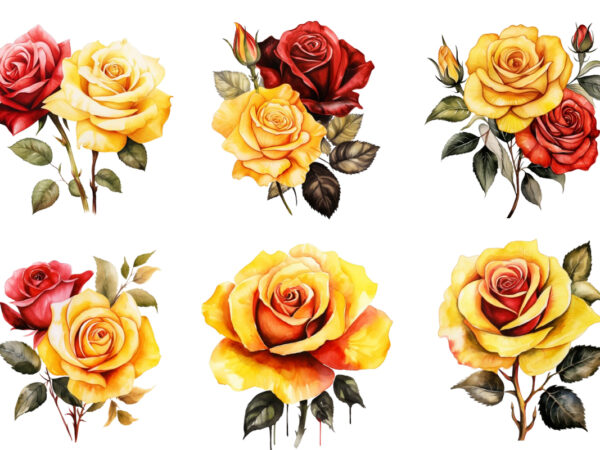 Watercolor yellow white red and black rose clipart t shirt design for sale