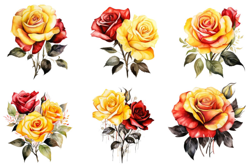watercolor yellow white red and black rose clipart