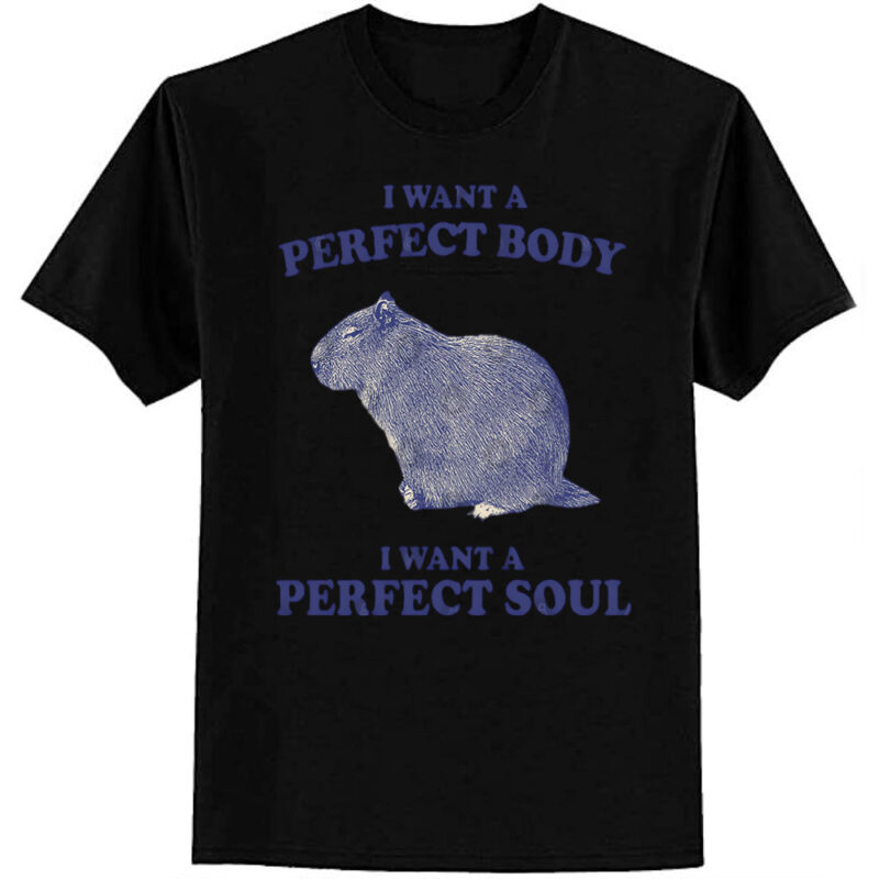 Capybara i want a perfect body i want a perfect soul Shirt, Funny Capybara Meme T-Shirt