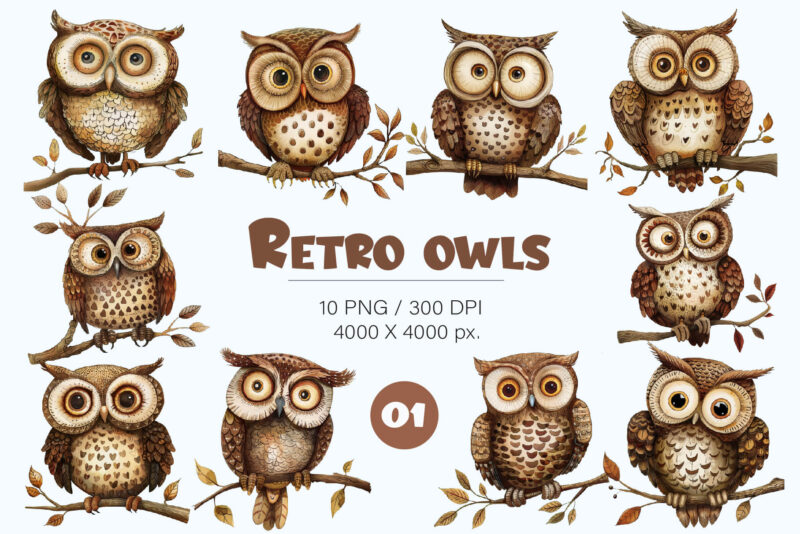 Cartoon retro owls 01. TShirt Sticker.