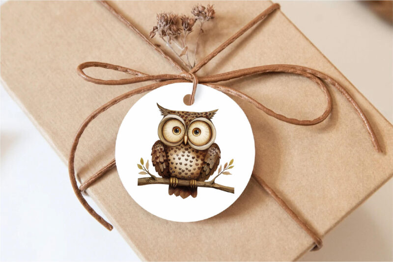 Cartoon retro owls 01. TShirt Sticker.