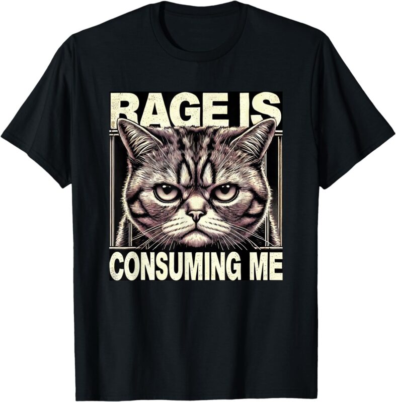 Graphic Tee Women Men Rage Is Consuming Me Funny Cat Meme T-Shirt