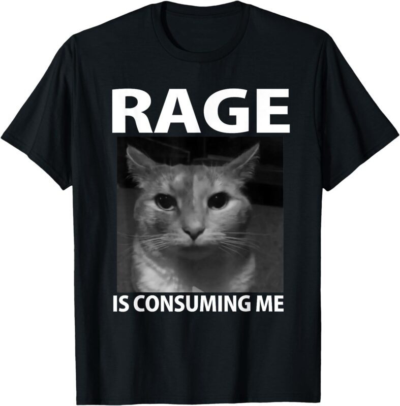 Rage is Consuming Me Silly Staring Cat Meme T-Shirt