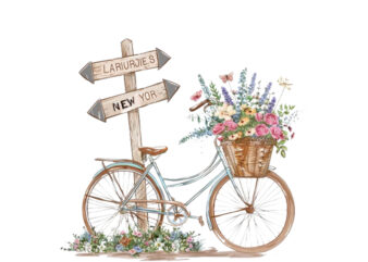 illustration of vintage bicycle
