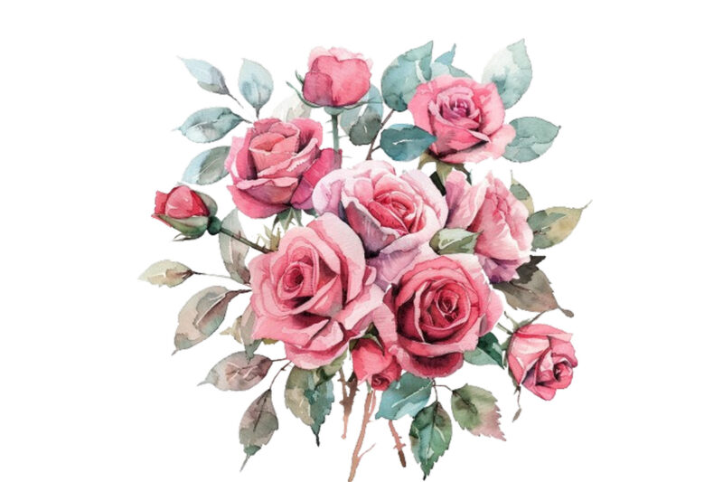 romantic watercolor bouquet of pink roses