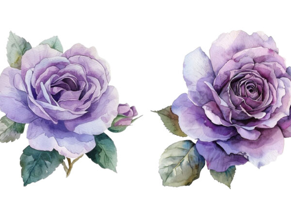 Watercolor rose t shirt design for sale